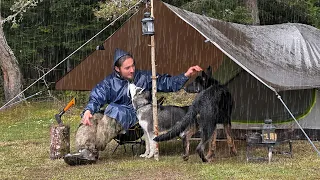 Kamperen in zware regen met honden - Kamperen in koude regen, ontspannen met geluid van regen, ASMR