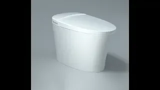 Умный унитаз Xiaomi Diiib Smart Toilet