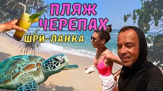 ШРИ ЛАНКА 🇱🇰 #3 / МОРСКИЕ ЧЕРЕПАХИ / пляж ХИККАДУВЫ / кормим черепах с рук