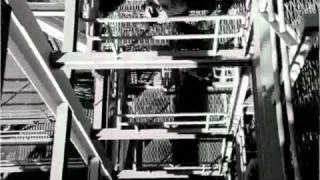 Papa Roach - Lifeline Official Music Video (Lyrics In Description)