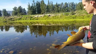 Catching huge carp!!!!!!