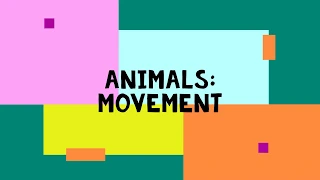 Animals: Movements