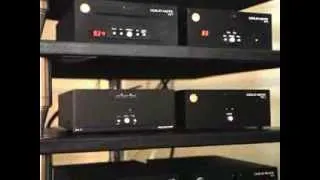 Moscow Audio Show 2013: Gold Note и страусы