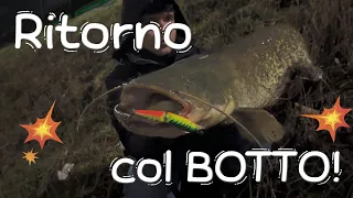 RITORNO allo SPINNING al SILURO! - Spinning - TZ Fishing