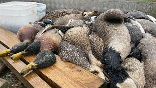 Hunting Ducks - Opening Weekend 2023!