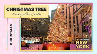 🎄 Rockefeller Tree 2021 - Rockefeller Center Christmas Tree