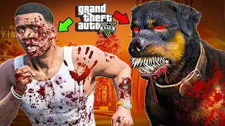 GTA 5 - Franklin's CHOP Is A CURSED KILLER & Then What Franklin Do