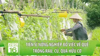 Tiến sĩ Nông nghiệp bỏ việc về quê trồng rau, củ, quả hữu cơ | VTC16