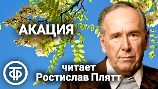 Ростислав Плятт "Акация". Рассказ французского писателя Анри де Ренье (1976)