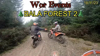 Wor events The new Forest 🌲
