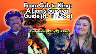 From Cub to King: A Lion's Survival Guide (ft. @TierZoo ) @mndiaye_97 | HatGuy & @gnarlynikki React