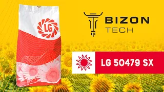 Огляд на гібрид соняшнику ЛГ 50479 СХ (LG 50479 SX) Limagrain