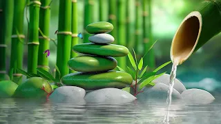 Music to Relax the Mind - Sleep + Music for Meditation, Relaxing Sleep Music, Zen, Water Sounds, Spa