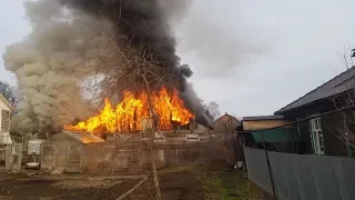 12 лошадей и 5 собак погибли в пожаре