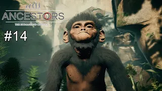 Ancestors: The Humankind Odyssey 14.Bölüm Türkçe #oyun #ancestorsgame