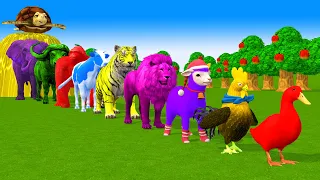Paint & Animals Duck, Cow, Gorilla, Lion, chicken, Elephant, Fountain Crossing Turtle Cartoon Game