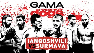 GAMA Reservoir Dogs | New 65 kg Champion!
