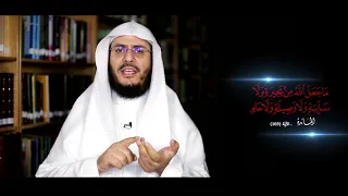 ما المقصود بـ (البحيرة والسائبة و الوصيلة و الحام) || برنامج غريب القرآن - الحلقة 168