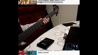 Maneskin  Recovery   Bass Cover