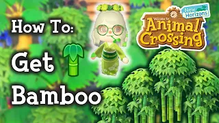 🎋 Animal Crossing New Horizons How To Get Bamboo Trees