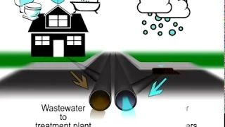 Only Rain Down the Drain! Protecting Our Stormwater System