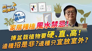 蔣匡文風水學堂：家居種植風水禁忌！哪些植物品種不宜放屋企？哪種盆栽易招人事糾紛？「有花有果」可以招財、催旺愛情兼添丁？｜《周一加油站》｜風水蔣知識｜etnet