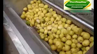 Машина чистки картофеля GB-1000 от РостПищМаш