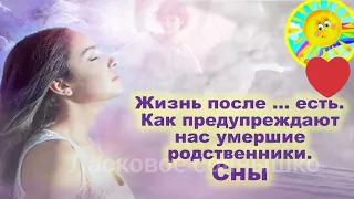 Жизнь после ... есть. Как предупреждают нас умершие родственники. Сны