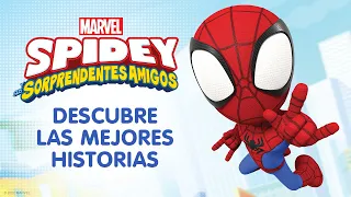 Spidey y sus sorprendentes amigos: Compilado #1