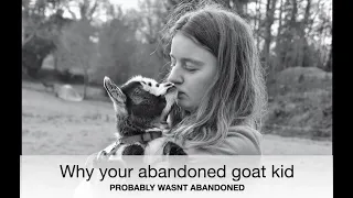 Why your abandoned goat kid PROBABLY WASN'T ABANDONED | Sez the Vet