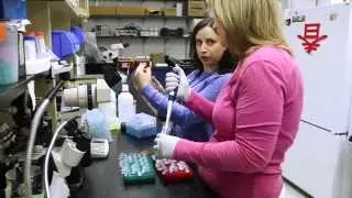 Masters Program in Biomedical Research Technologies  |  Cincinnati Children's