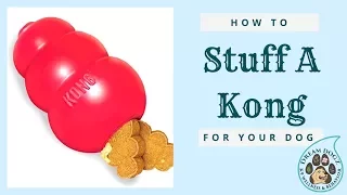 How to Stuff a KONG - DreamK9.com