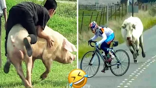 Funny Videos Compilation 🤣 Pranks - Amazing Stunts - By.Funny Squirrel #36