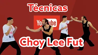 Técnicas básicas de choy lee fut