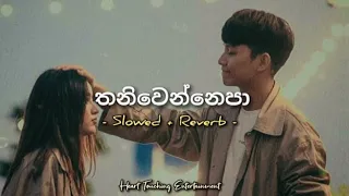 Thaniwennepa | තනිවෙන්නෙපා Slowed + Reverb | Heart Touching Entertainment