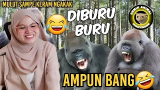 KETIKA HEWAN BISA NGOMONG | ASLI KOCAK PARAH🤣 | REACTION DEMIK ANIMAL PART 3‼️