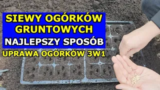 Siewy Ogórków Najlepszy Sposób. Uprawa Ogórków 3w1. Jak kiedy siać Ogórek gruntowy Sadzenie Rozsada.