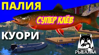 ПАЛИЯ КУОРИ СУПЕР КЛЁВ / ОБНОВЛЕНИЕ / ФАРМ ✅ РУССКАЯ РЫБАЛКА 4 🔴 Russian Fishing 4 🔴 РР4