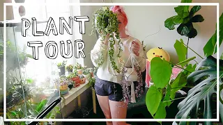 My Complete Plant Collection Tour 2021 | The Last Plant Tour in this House