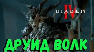 СОБИРАЕМ НОВЫЙ БИЛД НА ДРУИДА В  Diablo 4 / Стрим Диабло 4