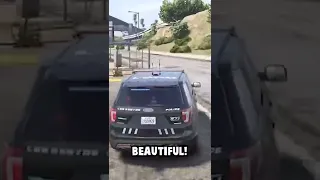 Accidentally Stealing a Cop Car in GTA 5