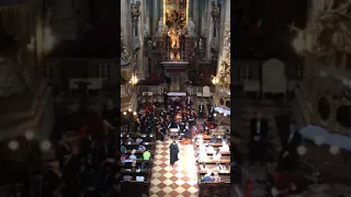 Organ in St. Peter’s Cathedral in Vienna