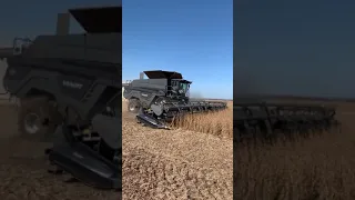 Fendt na colheita da soja