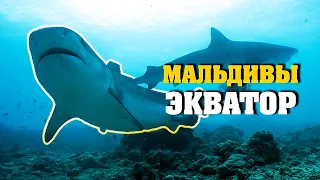 МАЛЬДИВЫ.  Экватор