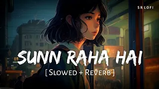 Sun Raha Hai Na Tu (Slowed + Reverb) | Lofi | Shreya Ghoshal | Aashiqui 2 | Melodious lofi