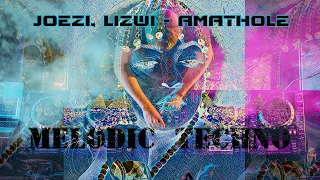 Joezi, Lizwi - Amathole(Melodic Techno Remix) #remix #amathole #alexter #music