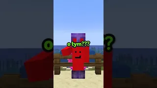 CZY WIEDZIAŁEŚ o TYM w MINECRAFT?!