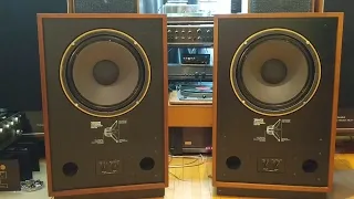 Tannoy Berkeley HPD 385