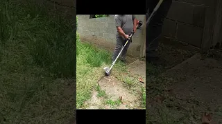 HOMEOWNER Didn't Recognize His Backyard After Mowing His Tall Grass