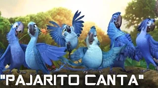 PAJARITO CANTA PAJARITO CANTA VERSION RIO { LA PELICULA }